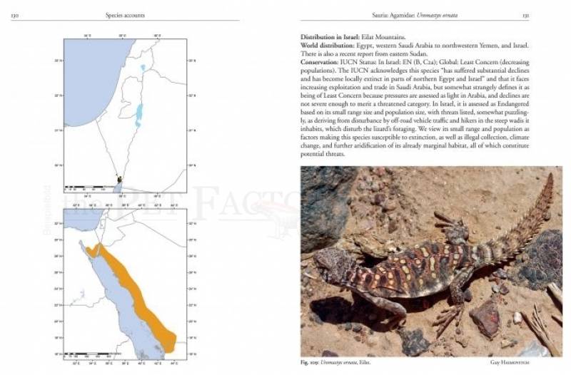Preview: Field Guide to the Amphibians and Reptiles of Israel